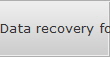 Data recovery for Laurel data
